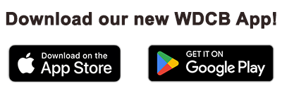 App Release